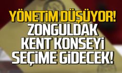 Zonguldak Kent Konseyi'nde seçim kararı!