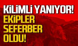 Kilimli'de yeniden orman yangını çıktı! Ekipler seferber oldu!