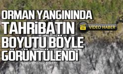 Karabük'te orman yangını tahribatı havadan böyle görüntülendi!