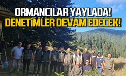 Ormancılar Turna Yaylası'nda! Denetimler devam edecek!