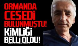 Devrek'te ormanda cesedi bulunmuştu! Kimliği belli oldu!