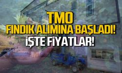 TMO Zonguldak'ta fındık alımına başladı!