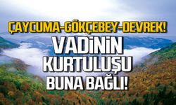 Çaycuma-Gökçebey-Devrek! Vadinin kurtuluşu buna bağlı!