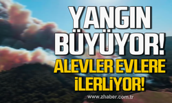 Kilimli'de yangın büyüyor! Alevler evlere ilerliyor!