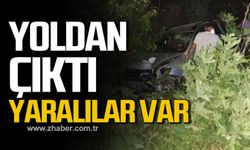 Alaplı'da araç yoldan çıktı! Yaralılar var!