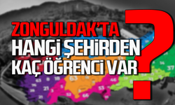 Zonguldak'a hangi şehirden kaç öğrenci geldi?