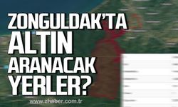 Zonguldak'ta altın aranacak bölgeler ve köyler?