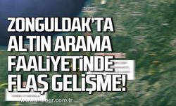 Zonguldak'ta altın arama faaliyetinde flaş gelişme!