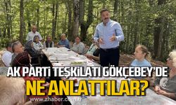 Ak Parti teşkilatı Gökçebey'de! Vatandaşlara ne anlattılar?