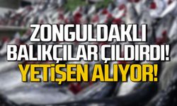 Zonguldaklı balıkçılar çıldırdı! 4 tanesi 100 TL!