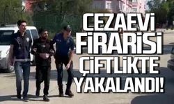 Suç makinesi cezaevi firarisi çiftlikte yakalandı!