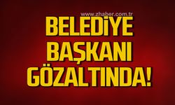 Gülüç Belediye Başkanı Gökhan Demirtaş gözaltına alındı