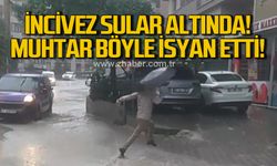 Zonguldak İncivez sular altında! Muhtar böyle isyan etti!