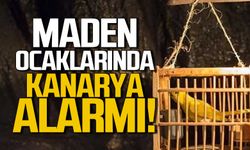 Maden ocaklarında neden kanarya kullanıldı?