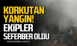 Alaplı'da korkutan yangın! Ekipler seferber oldu!