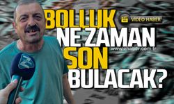 Palamut bolluğu devam ediyor! Ne zaman son bulacak?