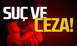 Suç ve Ceza