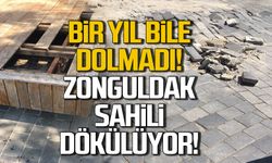 Zonguldak sahili yeniden dökülüyor!