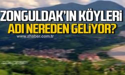 Zonguldak'ın köyleri! Bodaç Köyü'nün adı nereden geliyor?