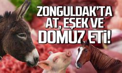 Zonguldak’ta at, eşek ve domuz eti!