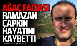 Bartın'da ağaç faciası! Ramazan Çapkın hayatını kaybetti!