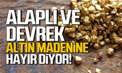 Alaplı ve Devrek Altın Madenine hayır diyor!