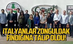 İtalyanlar Zonguldak fındığına talip oldu!