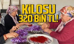 Çiçek açtı! Safranın kilosu 320 bin TL!