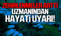 Mantar zehirlenmeleri arttı! Uzmanından hayati uyarı!