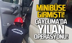 Çaycuma'da yılan çıkartma operasyonu!