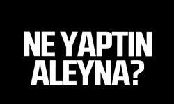 Ne yaptın Aleyna?