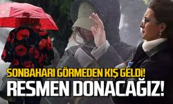 Sonbaharı görmeden kış geldi! Resmen donacağız!