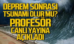 Deprem sonrası tsunami olur mu? Profesör canlı yayına açıkladı