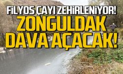 Filyos Irmağı'nın zehirlenmesinde Zonguldaklılar dava açacak!