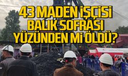 Amasra'da 43 maden işçisi balık sofrası yüzünden mi öldü?