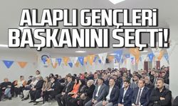 Alaplı gençleri başkanını seçti!