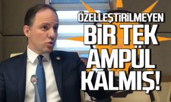 Yavuzyılmaz'dan özelleştirme tepkisi "Bir tek ampül kaldı"