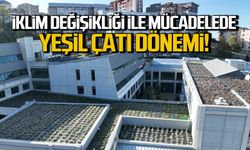 İklim değişikliği ile mücadelede BEUN'den yeşil çatı dönemi!