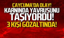 Çaycuma'da olay! Hamileyken öldürmüşler! 3 gözaltı!