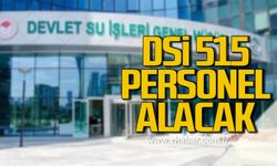 Devlet Su İşleri Genel Müdürlüğü 515 personel alacak!