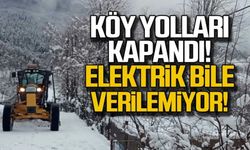 Zonguldak'ta köy yolları kapandı! Elektrik bile verilemiyor!