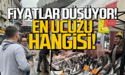 Fiyatlar düşüyor! Zonguldak'ta en ucuz balık hangisi?