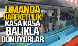 Limanda hareketlilik! Kasa kasa balıkla dönüyorlar!