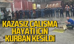 Maden fabrikalarında kazasız çalışma hayatı dileğiyle kurban kesildi