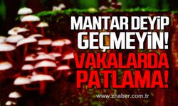 Mantar deyip geçmeyin! Zehirlenme vakalarında patlama!