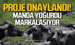 "Çaycuma manda yoğurdu" projesi onaylandı. Markalaşıyor!