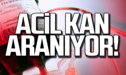 Sultan Bayrak için acil kan aranıyor!