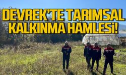 Devrek^te tarımsal kalkınma hamlesi!