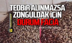 Tedbir alınmazsa Zonguldak için durum facia!