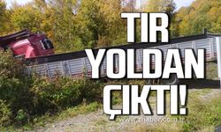 Tır yoldan çıktı! Sürücü yaralandı